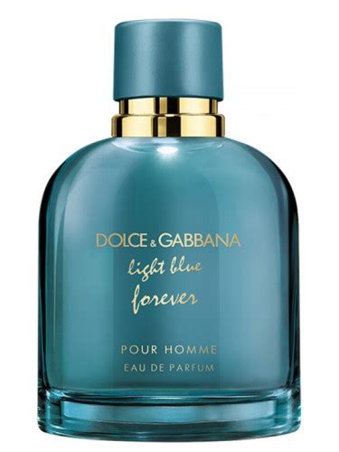 dolce gabbana light blue männer|dolce and gabbana light blue forever men.